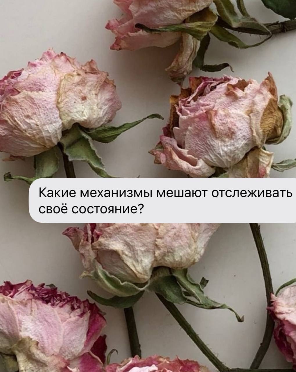 Почему мы не слышим себя